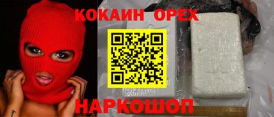 гидра Рязань