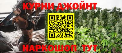 гидра Рязань